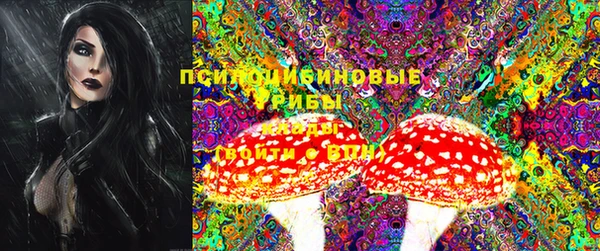 мяу мяу мука Осинники